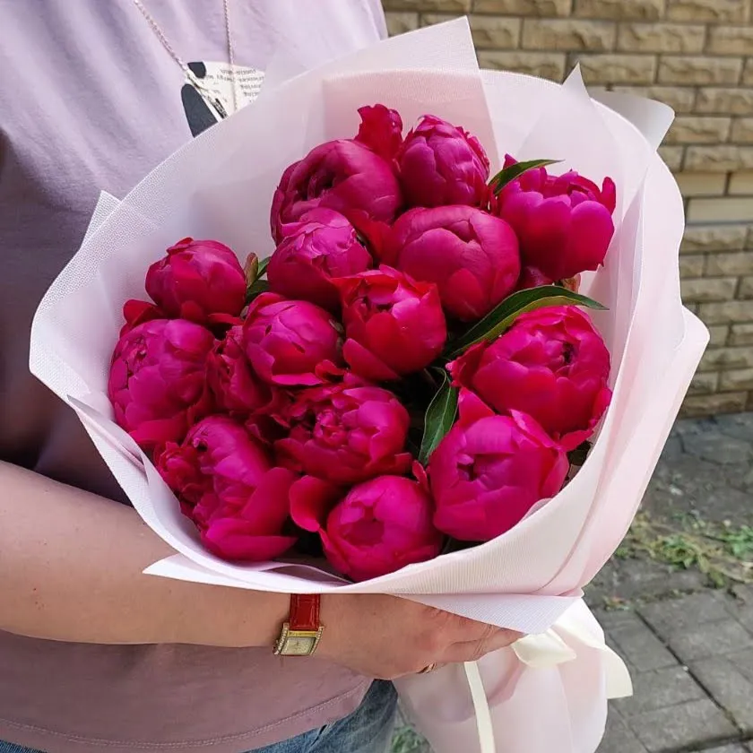 15 шт Малиновых пионов